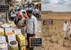 Rice, oilseed, pulses prices rise as Kharif crop sowing declines