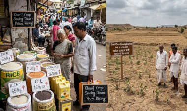 Rice, oilseed, pulses prices rise as Kharif crop sowing declines