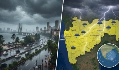 Maharashtra Weather Update: IMD Issues Yellow Alert for Thunderstorms and Heavy Rain
