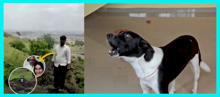 Loyal Dog Sheru After Three Days of Waiting